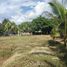 Terreno (Parcela) en venta en Jose Azueta, Guerrero, Jose Azueta
