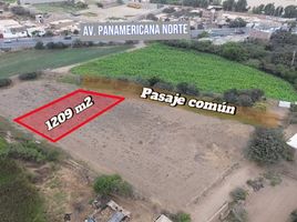  Terreno (Parcela) en venta en Moche, Trujillo, Moche