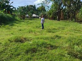  Grundstück zu verkaufen in Negros Oriental, Negros Island Region, Bacong