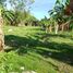  Land for sale in Bacong, Negros Oriental, Bacong