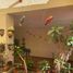 8 Bedroom House for sale in San Luis Potosi, San Luis Potosi, San Luis Potosi, San Luis Potosi