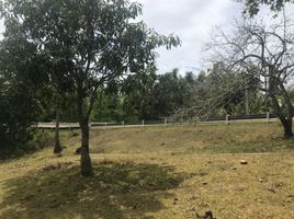  Grundstück zu verkaufen in Negros Oriental, Negros Island Region, Bacong