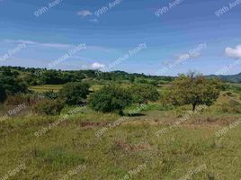  Land for sale in Ilocos, Umingan, Pangasinan, Ilocos