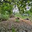  Land for sale in Cebu Central Visayas, Oslob