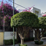 4 Habitación Casa en venta en Benito Juarez, Ciudad de México, Benito Juarez