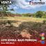  Land for sale in Rivera, Huila, Rivera