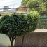 3 Bedroom Villa for sale in Miguel Hidalgo, Mexico City, Miguel Hidalgo