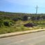  Land for sale in Tilapa, Puebla, Tilapa