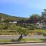  Land for sale in Tilapa, Puebla, Tilapa