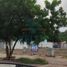  Land for rent in Mazatlan, Sinaloa, Mazatlan