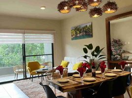 3 Bedroom Condo for rent in Cozumel, Quintana Roo, Cozumel, Quintana Roo, Mexico
