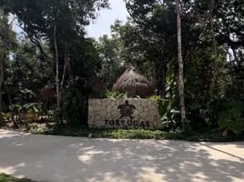  Grundstück zu verkaufen in Cozumel, Quintana Roo, Cozumel