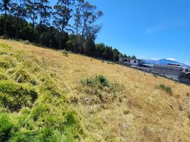  Land for sale in Quito, Pichincha, Quito, Quito