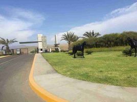 Terreno (Parcela) en venta en Asia, Lima, Asia