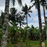  Terrain for sale in Gianyar, Bali, Ubud, Gianyar