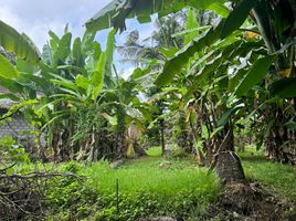  Land for sale in Bali, Ubud, Gianyar, Bali