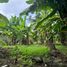  Terrain for sale in Ubud, Gianyar, Ubud