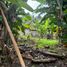  Terrain for sale in Gianyar, Bali, Ubud, Gianyar