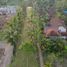  Land for sale in Ubud, Gianyar, Ubud