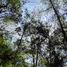  Land for sale in Huauchinango, Puebla, Huauchinango