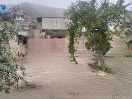  Land for sale in Pachacamac, Lima, Pachacamac