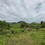  Land for sale in Bohol, Central Visayas, Maribojoc, Bohol