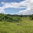  Land for sale in Bohol, Central Visayas, Maribojoc, Bohol