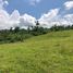  Land for sale in Bohol, Central Visayas, Maribojoc, Bohol