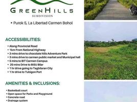  Land for sale in Carmen, Bohol, Carmen