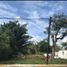  Land for sale in Atzacan, Veracruz, Atzacan