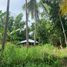 Land for sale in Negros Oriental Negros Island Region, Dauin, Negros Oriental