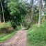  Land for sale in Negros Oriental Negros Island Region, Dauin, Negros Oriental