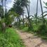  Land for sale in Negros Oriental Negros Island Region, Dauin, Negros Oriental