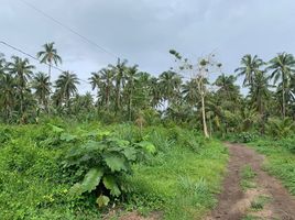  Terrain for sale in Dauin, Negros Oriental, Dauin