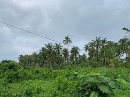  Grundstück zu verkaufen in Negros Oriental, Negros Island Region, Dauin