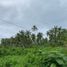  Land for sale in Dauin, Negros Oriental, Dauin