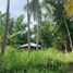  Land for sale in Dauin, Negros Oriental, Dauin