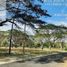  Terreno (Parcela) en venta en Calamba City, Calabarzon, Calamba City, Laguna