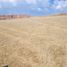  Terrain for sale in Chinchero, Urubamba, Chinchero