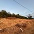  Land for sale in Palmira, Valle Del Cauca, Palmira