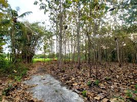  Land for sale in Yogyakarta, Pajangan, Bantul, Yogyakarta