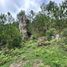  Land for sale in Chignahuapan, Puebla, Chignahuapan