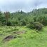  Land for sale in Chignahuapan, Puebla, Chignahuapan