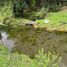  Land for sale in Chignahuapan, Puebla, Chignahuapan