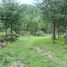  Land for sale in Chignahuapan, Puebla, Chignahuapan