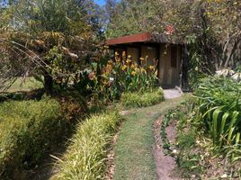  Villa zu vermieten in Mariscal Sucre International Airport, Quito, Checa Chilpa, Quito