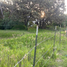  Land for sale in Zapopan, Jalisco, Zapopan, Jalisco