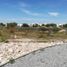  Land for sale in San Luis Potosi, San Luis Potosi, San Luis Potosi, San Luis Potosi