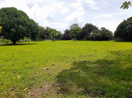  Land for sale in Binan City, Laguna, Binan City