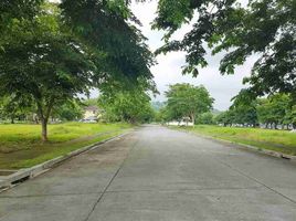  Land for sale in Binan City, Laguna, Binan City